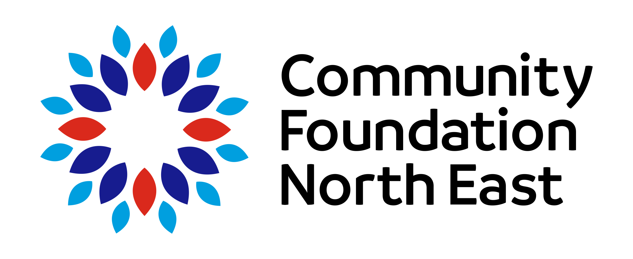 https://birkheadswild.org.uk/wp-content/uploads/2024/11/Community-Foundation-NE-RGB.png